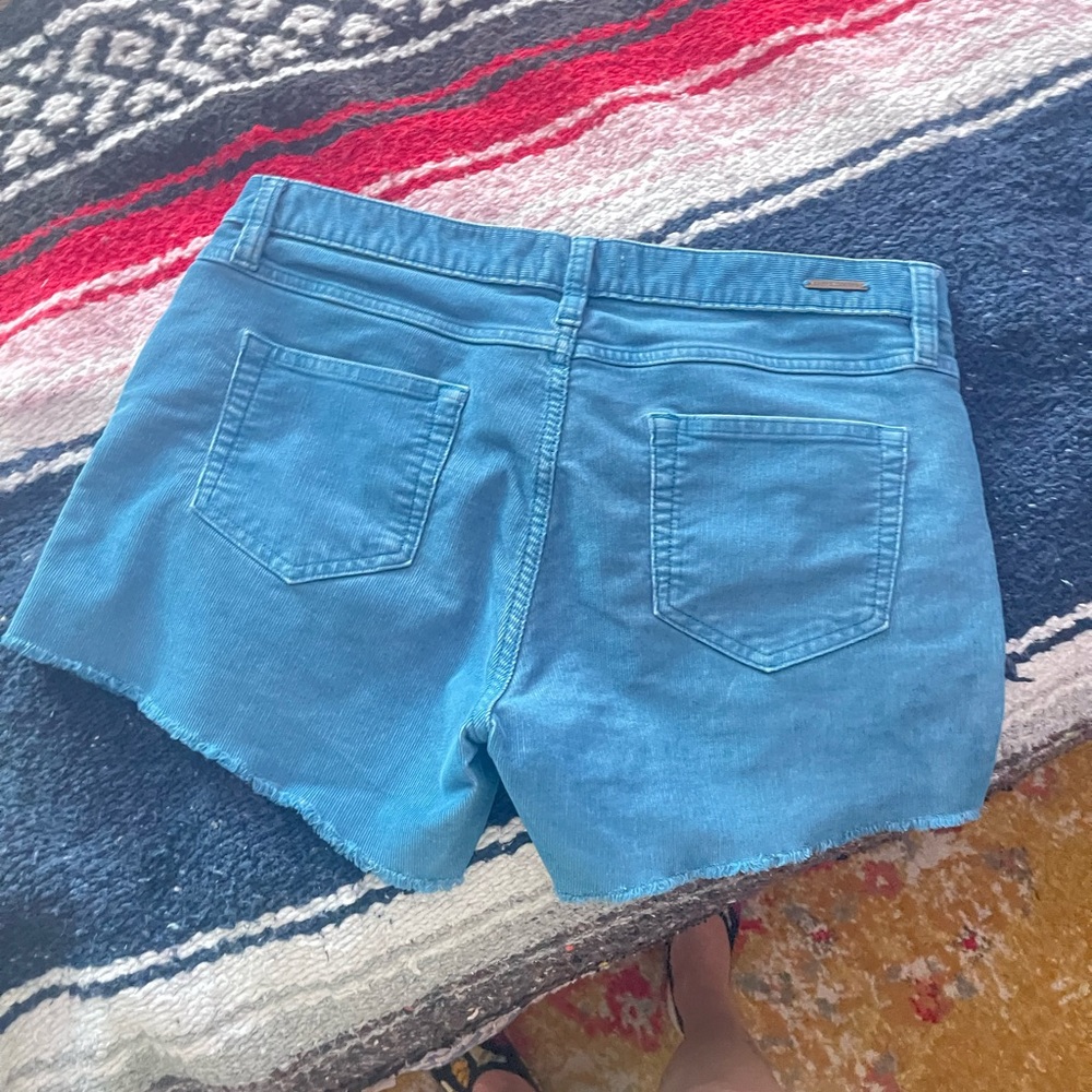 Carve Designs Light Blue cords Shorts